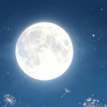 月光下的蒲公英船队